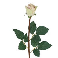 Blush Pink Single Rosebud Stem