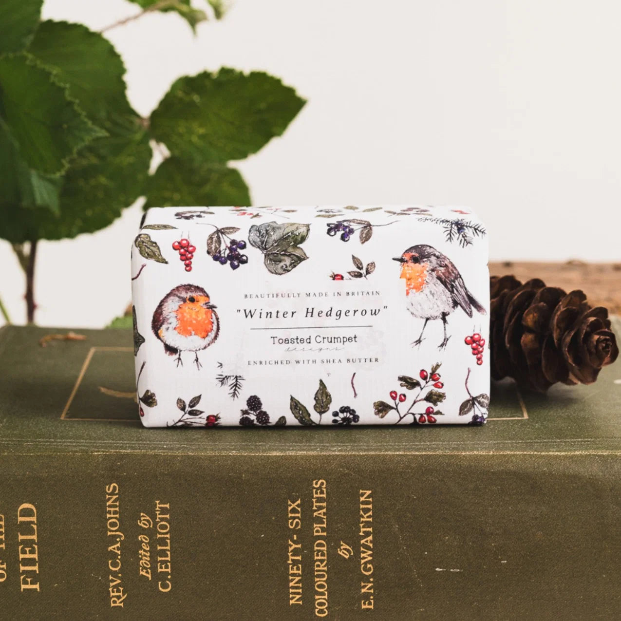 Winter Hedgerow (Robin) Soap