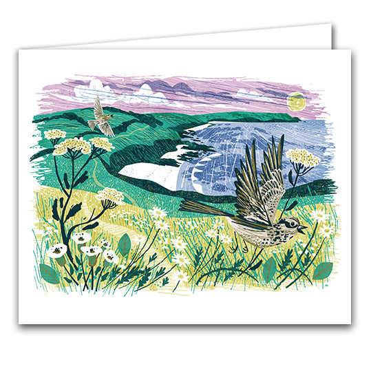 Gerrans Bay Skylarks