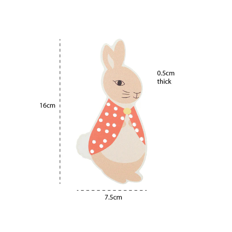 Stitching Kit - Flopsy