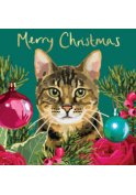 Merry Christmas-Tabby cat