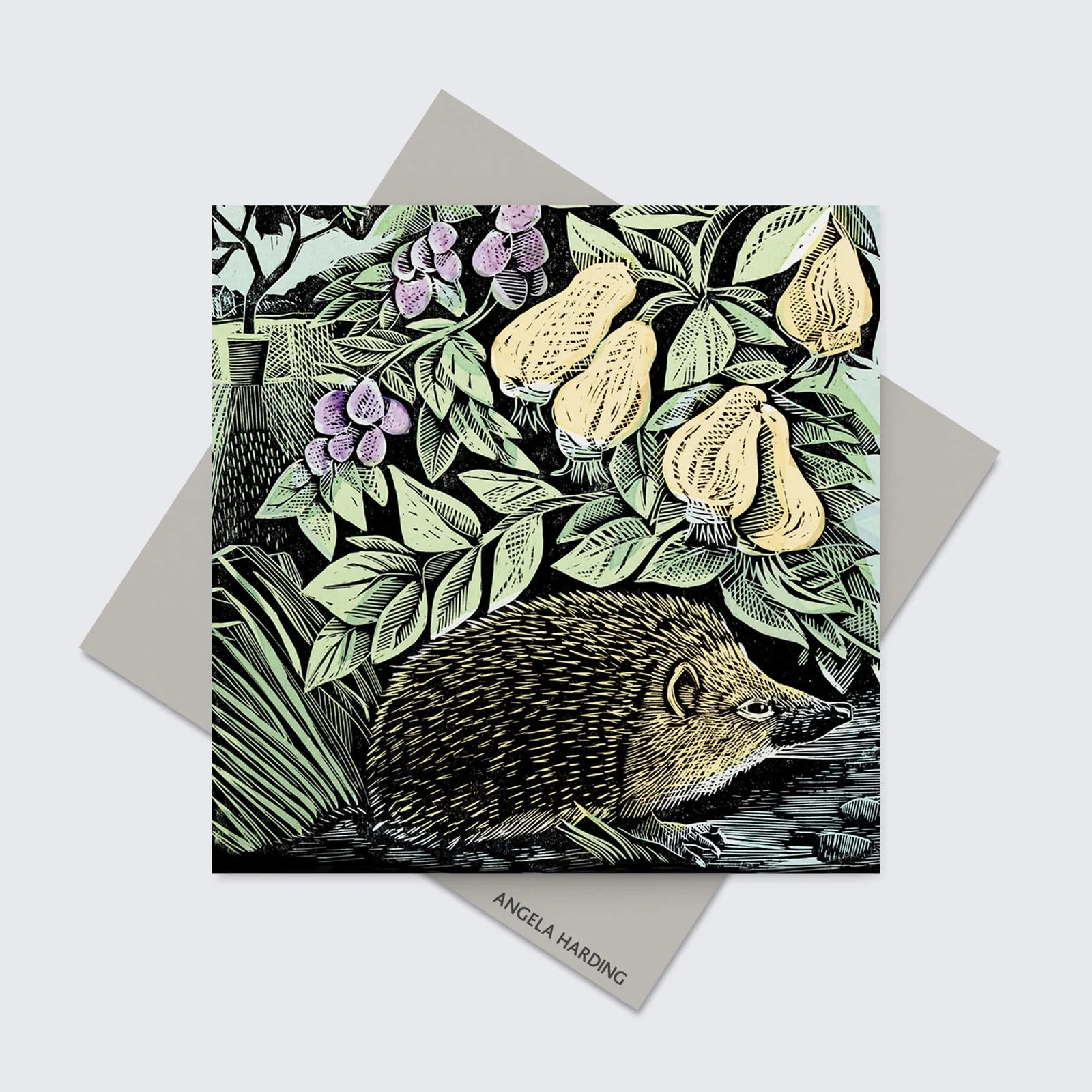 Angela Harding Hedgehog & Fruits Card