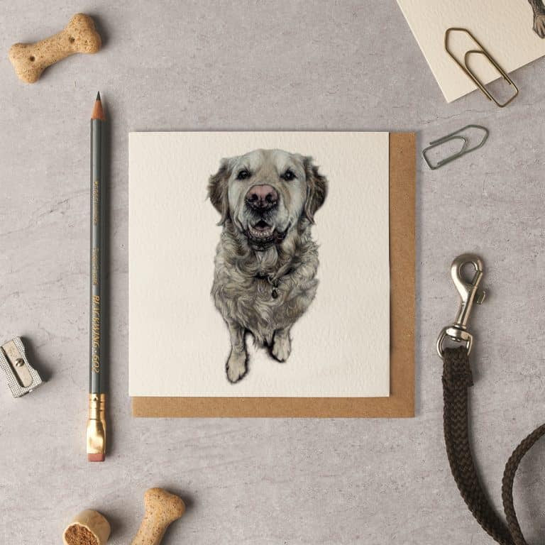 Paddy Golden Retriever