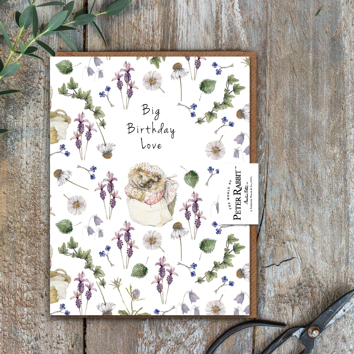 Big Birthday Love (Mrs Tiggy-Winkle) Card