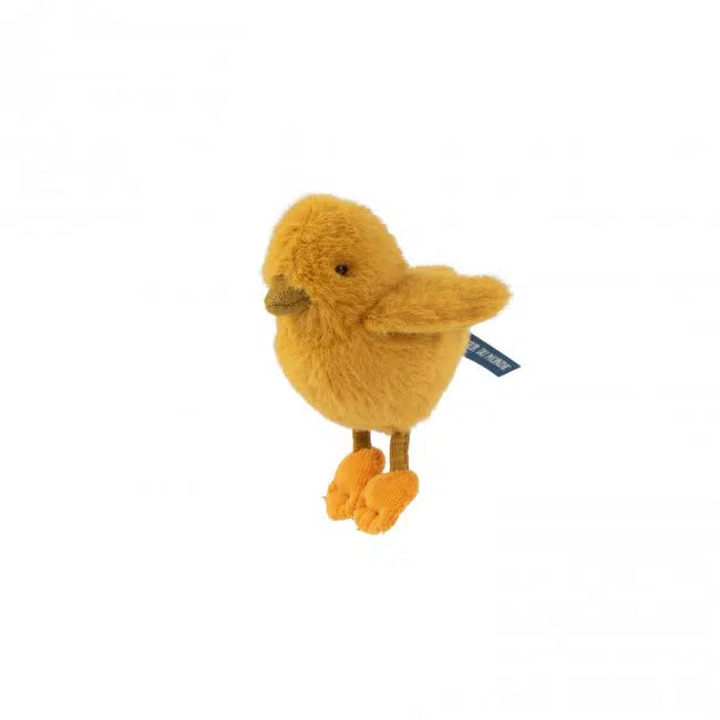 Chick Tout Autour Du Monde