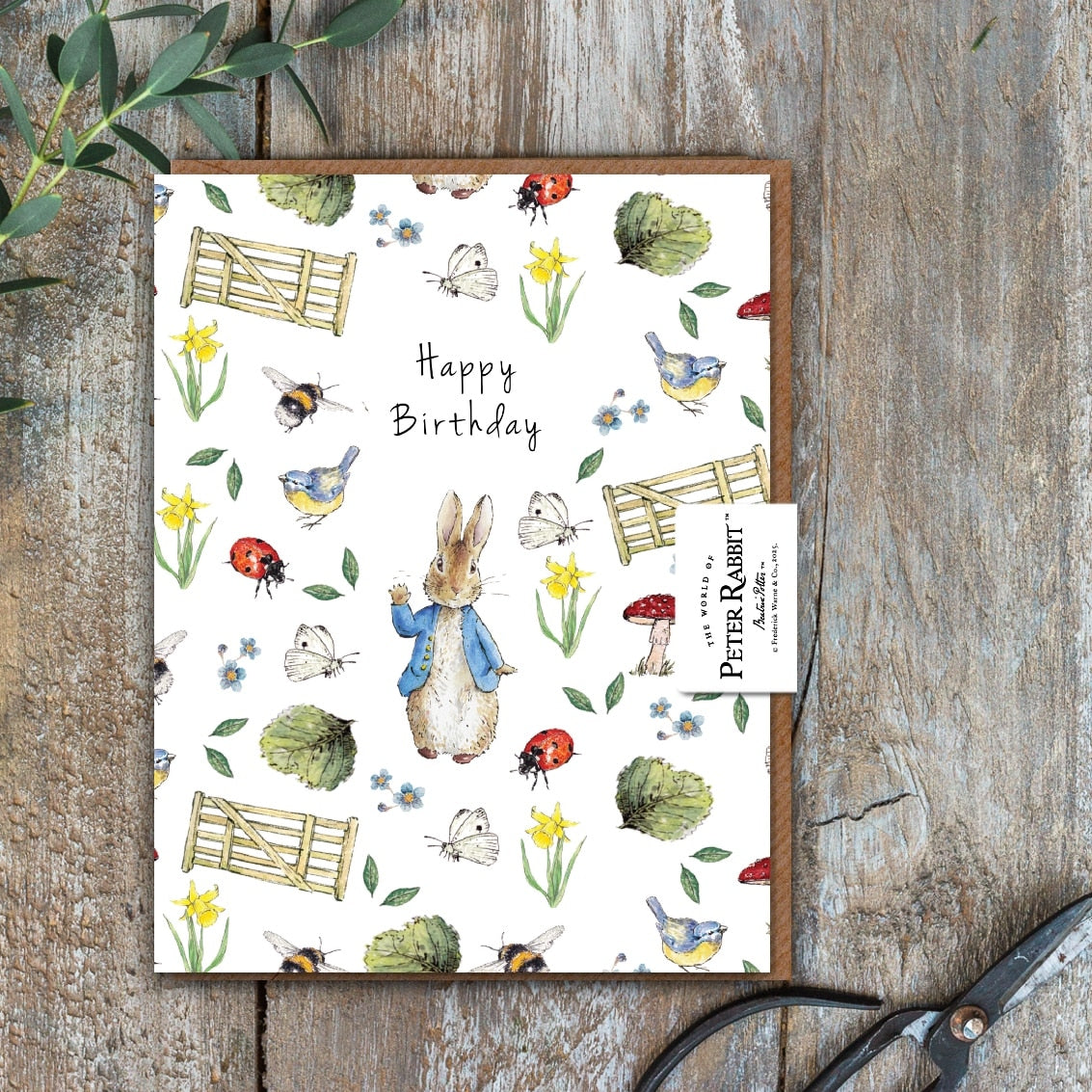 Happy Birthday (Peter Rabbit) Card