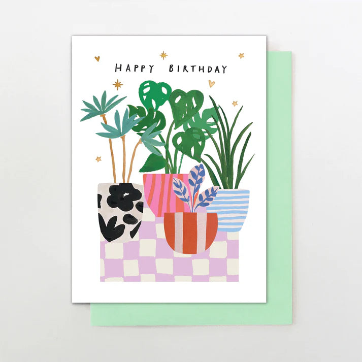 birthday plants