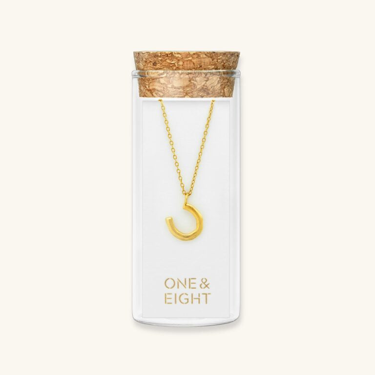 Gold Horseshoe Necklace