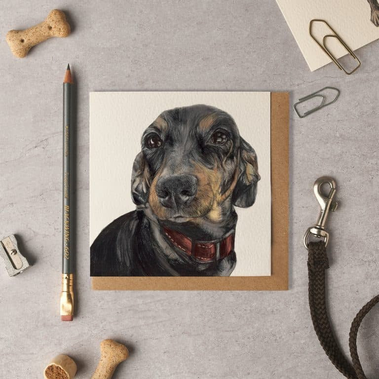 Lou Dachshund