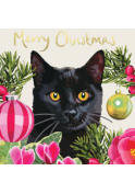 Merry Christmas-Black cat