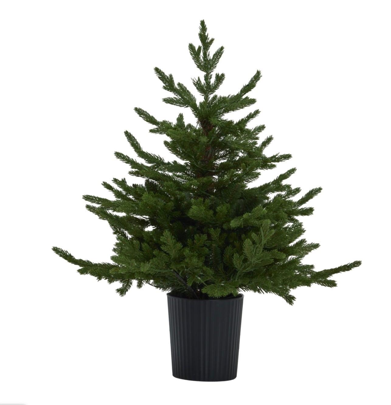 Green Forest Fir Pre-Lit LED 300l Christmas Tree in Pot