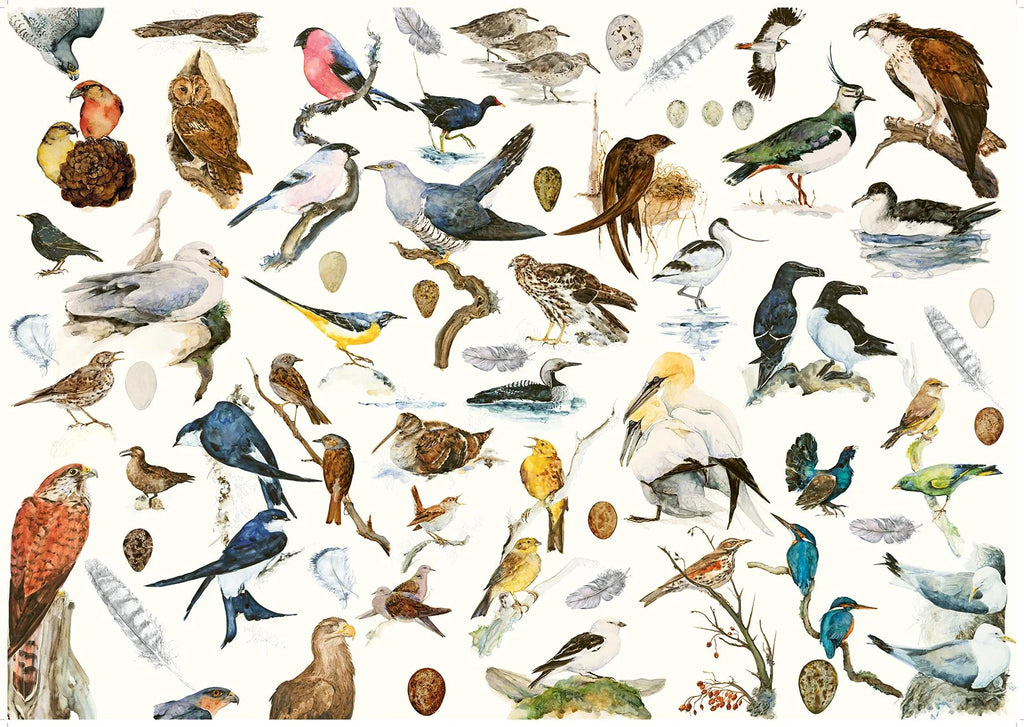 The Book of Birds 1000 piece Jigsaw