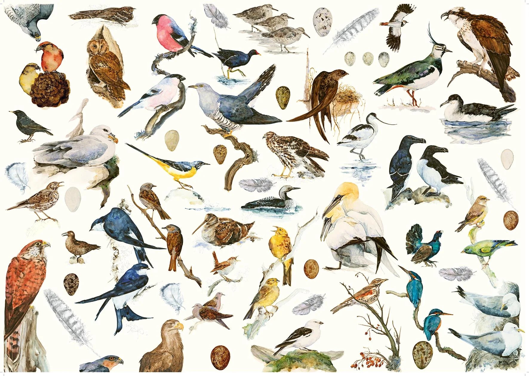 The Book of Birds 1000 piece Jigsaw