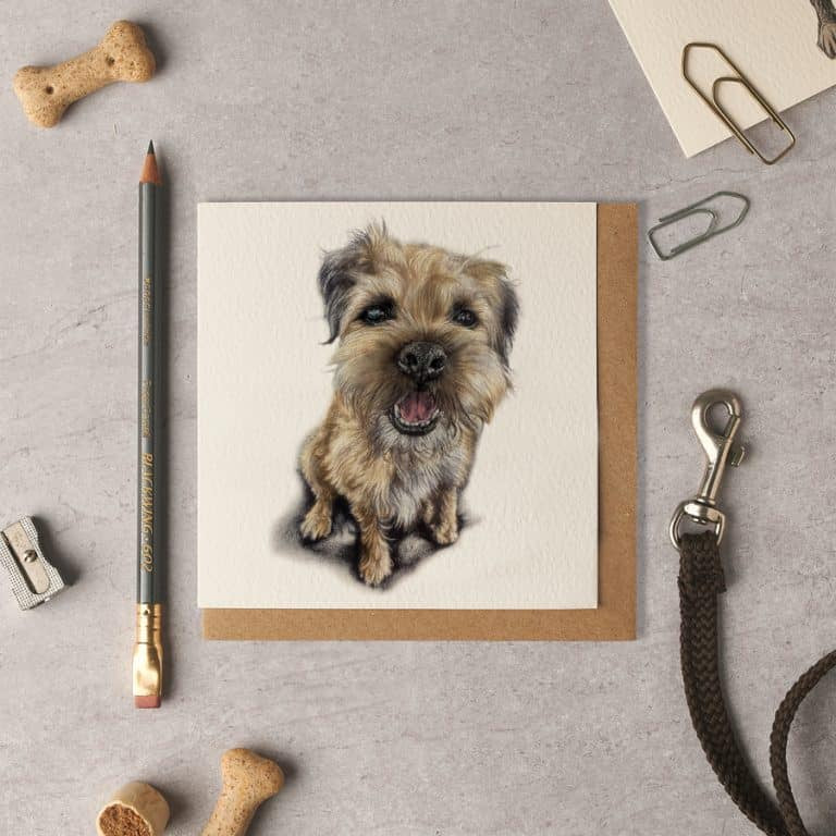 Bridger Border Terrier