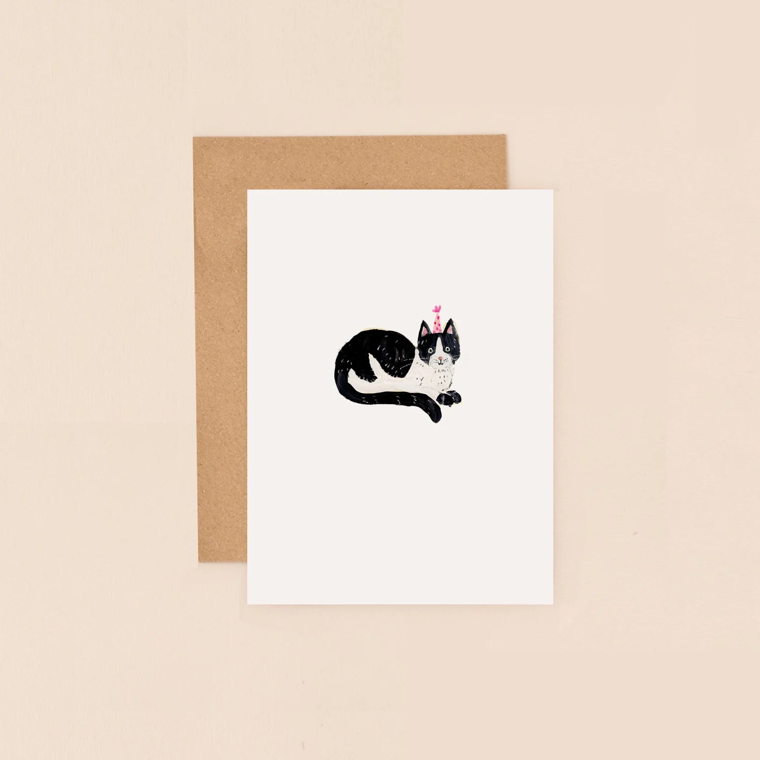 Black and White Cat