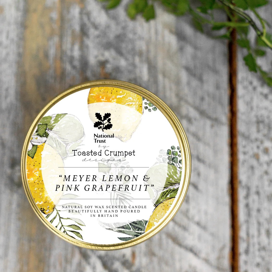 Meyer Lemon & Pink Grapefruit Tin Candle