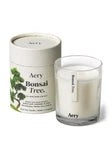 Bonsai Tree Candle