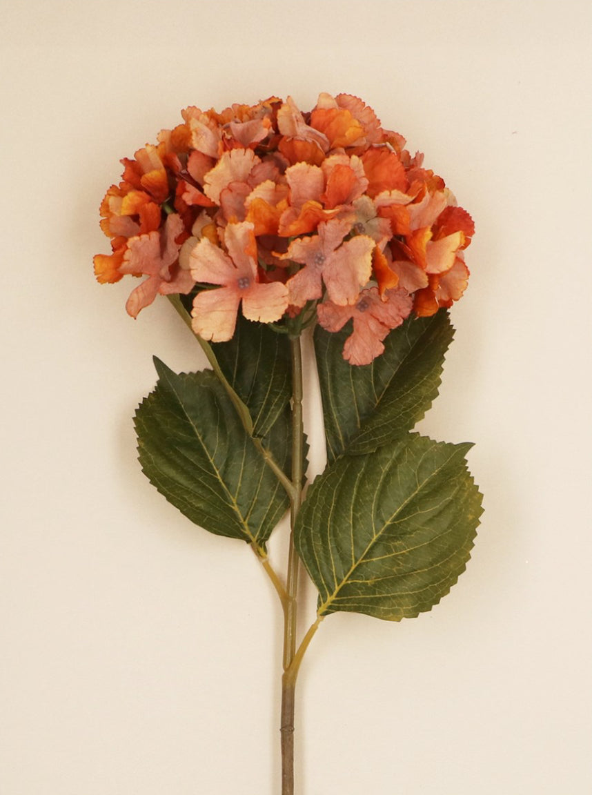 Antique Orange Hydrangea Stem