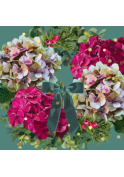 Hydrangea green bow