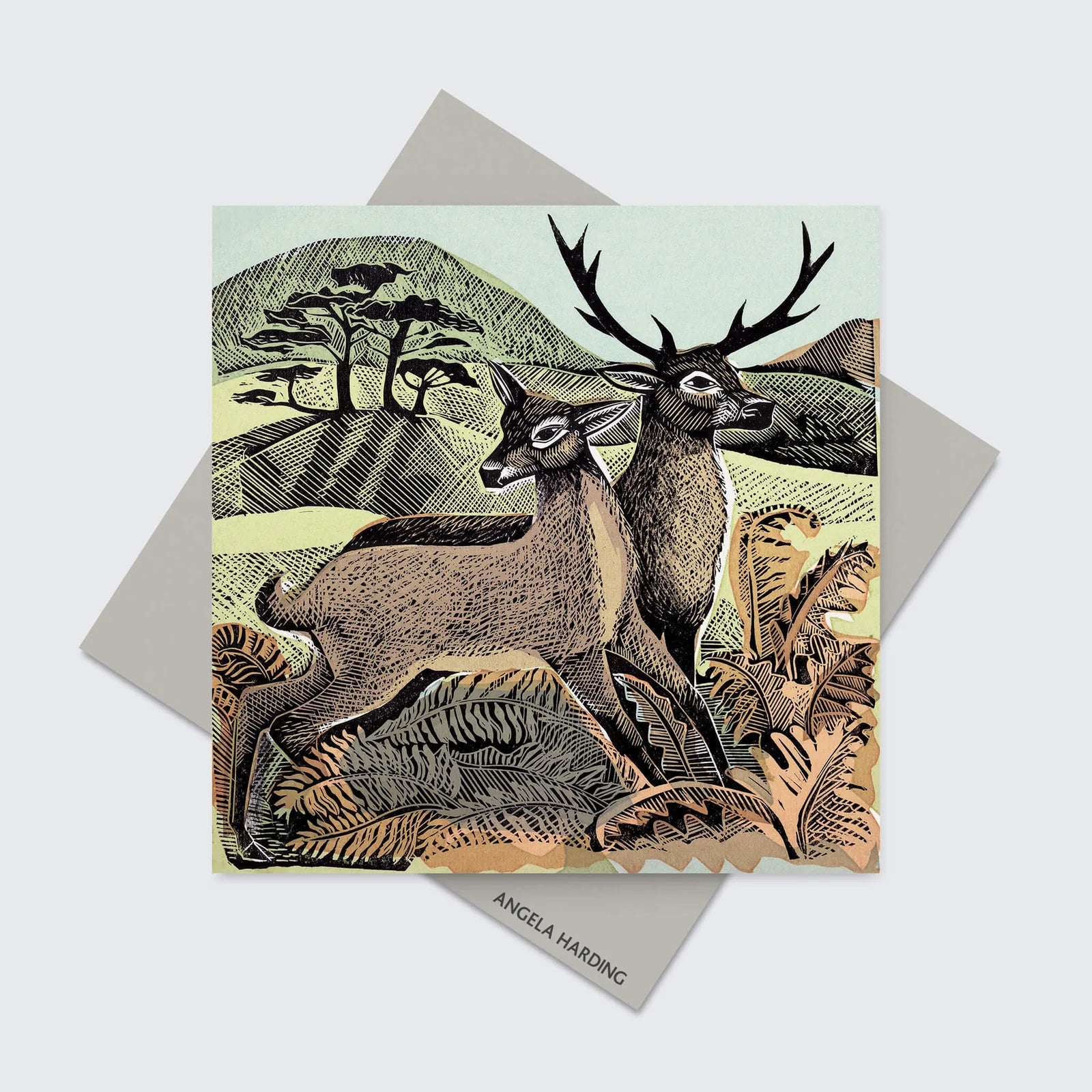 Angela Harding Deer & Autumn Bracken Card