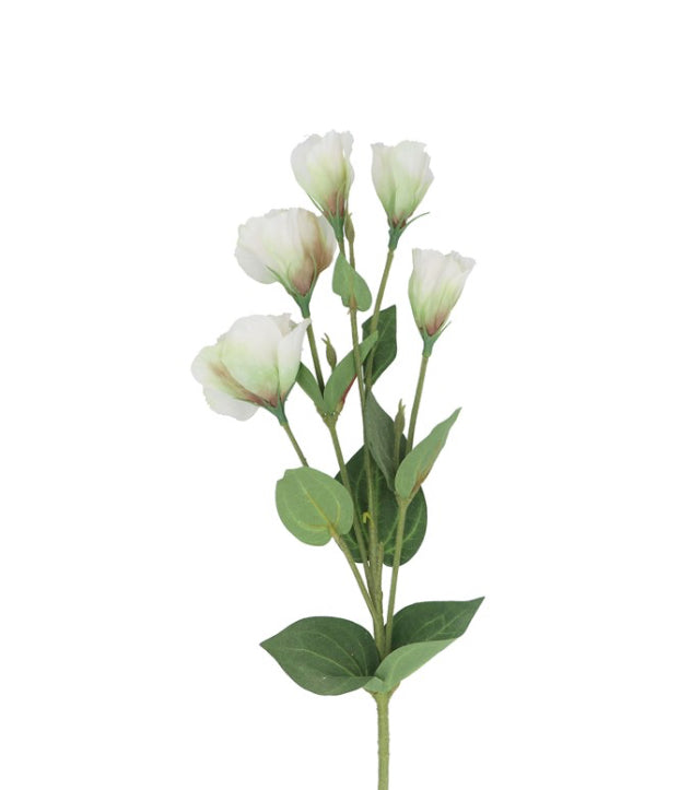 White Lisianthus Spray