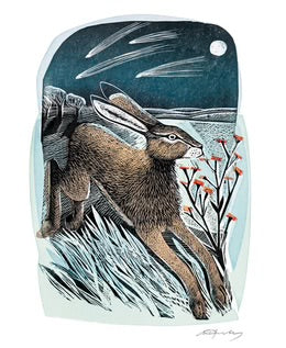 Angela Harding Shooting Stars Card