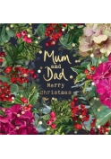Mum and dad at Christmas