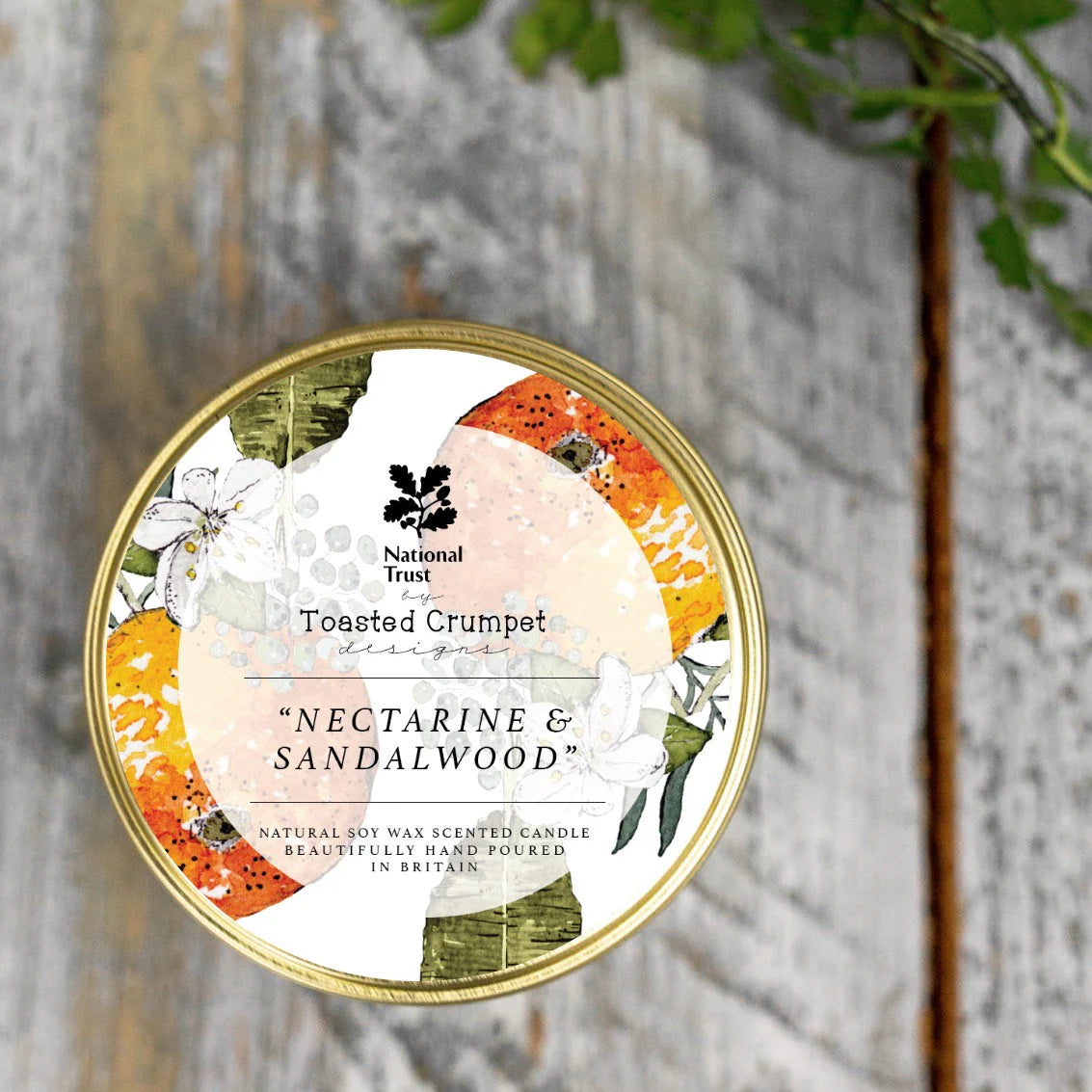 Nectarine & Sandalwood Tin Candle