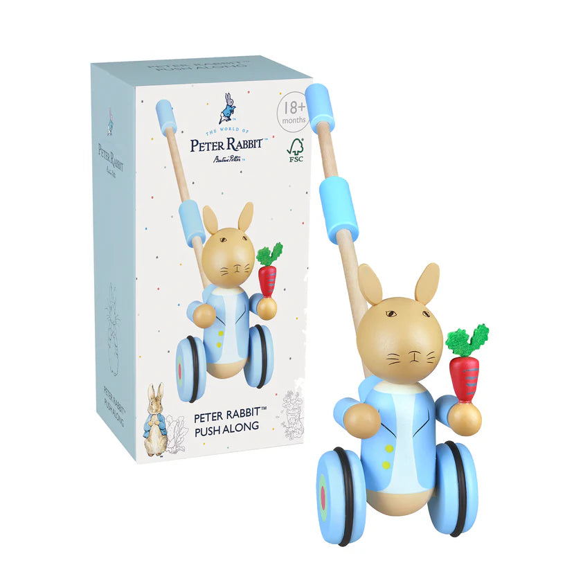 Peter Rabbit Push Along Toy