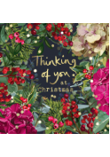 Thinking of you at Christmas