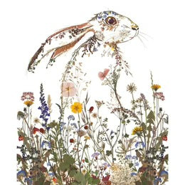 Helen Ahpornsiri Wildflower Hare Card