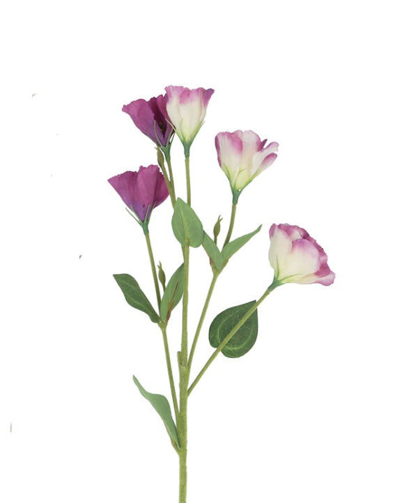 Mauve Lisianthus Spray