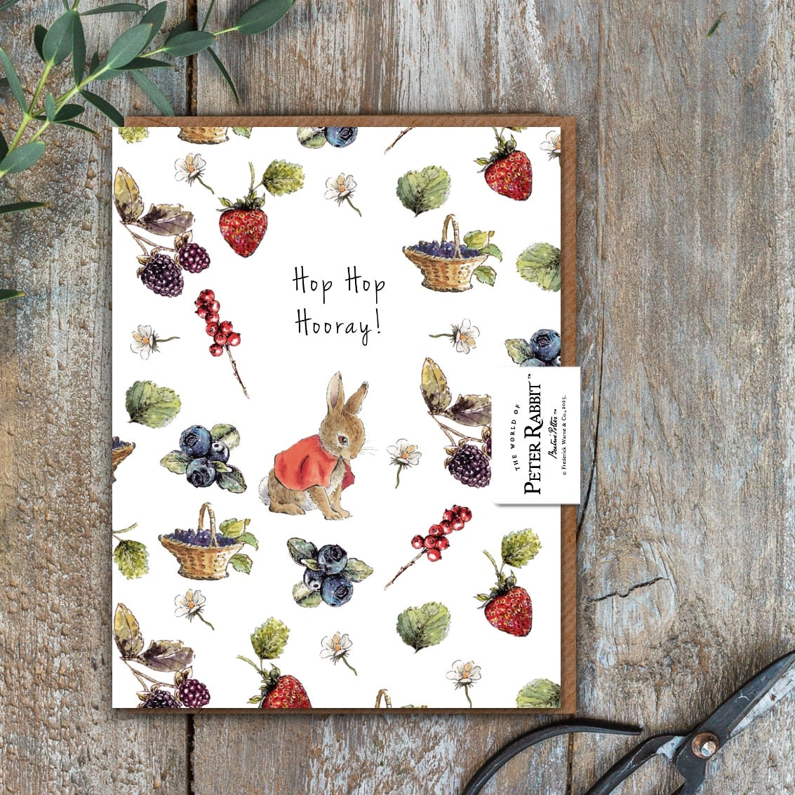 Hop Hop Hooray! (Flopsy) Card