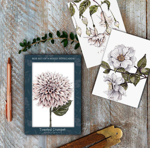 NEW! ‘The Blanc Collection’ - Boxed Set of 8 Mixed Notecards