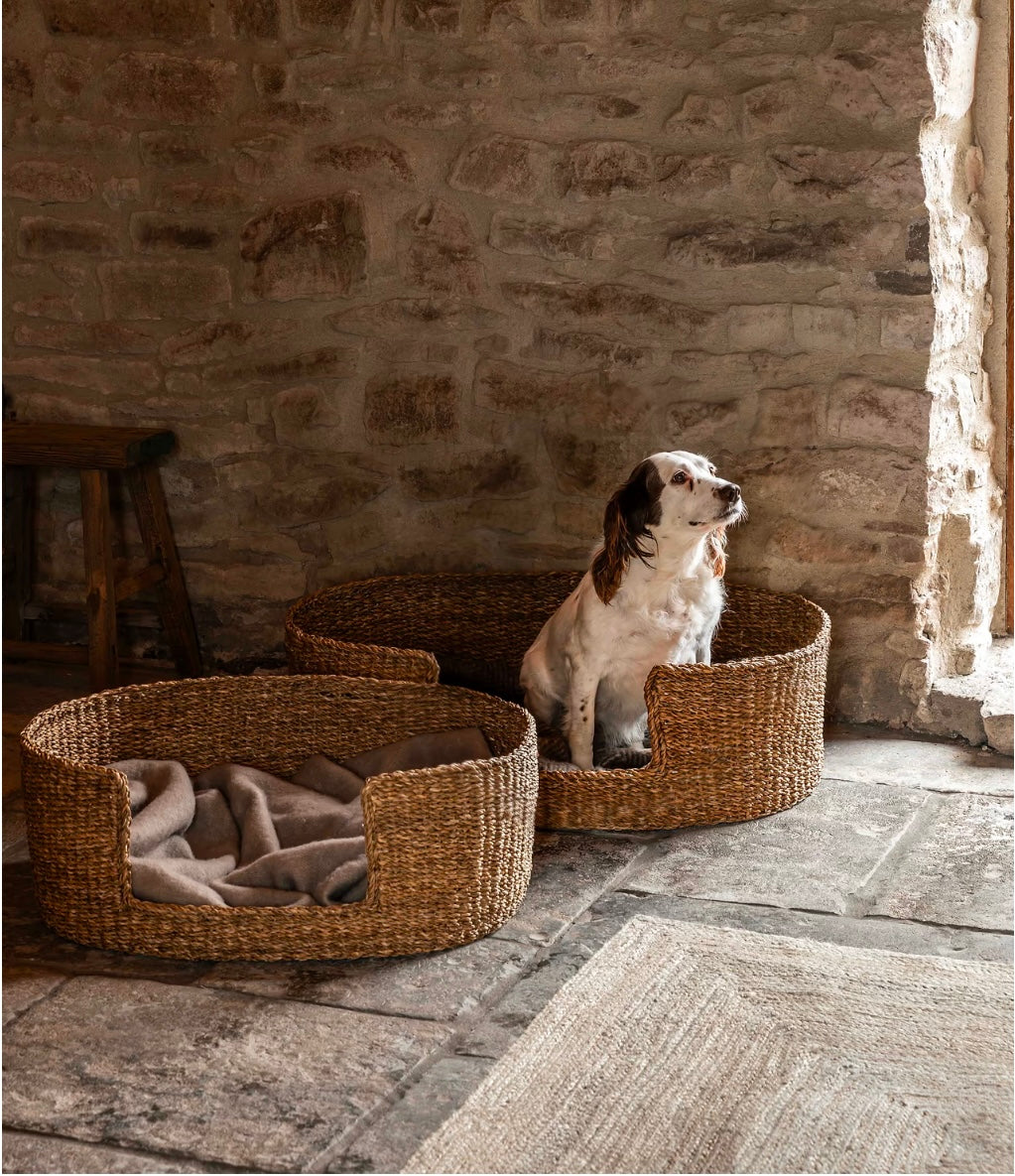 Brading Pet Bed - Large