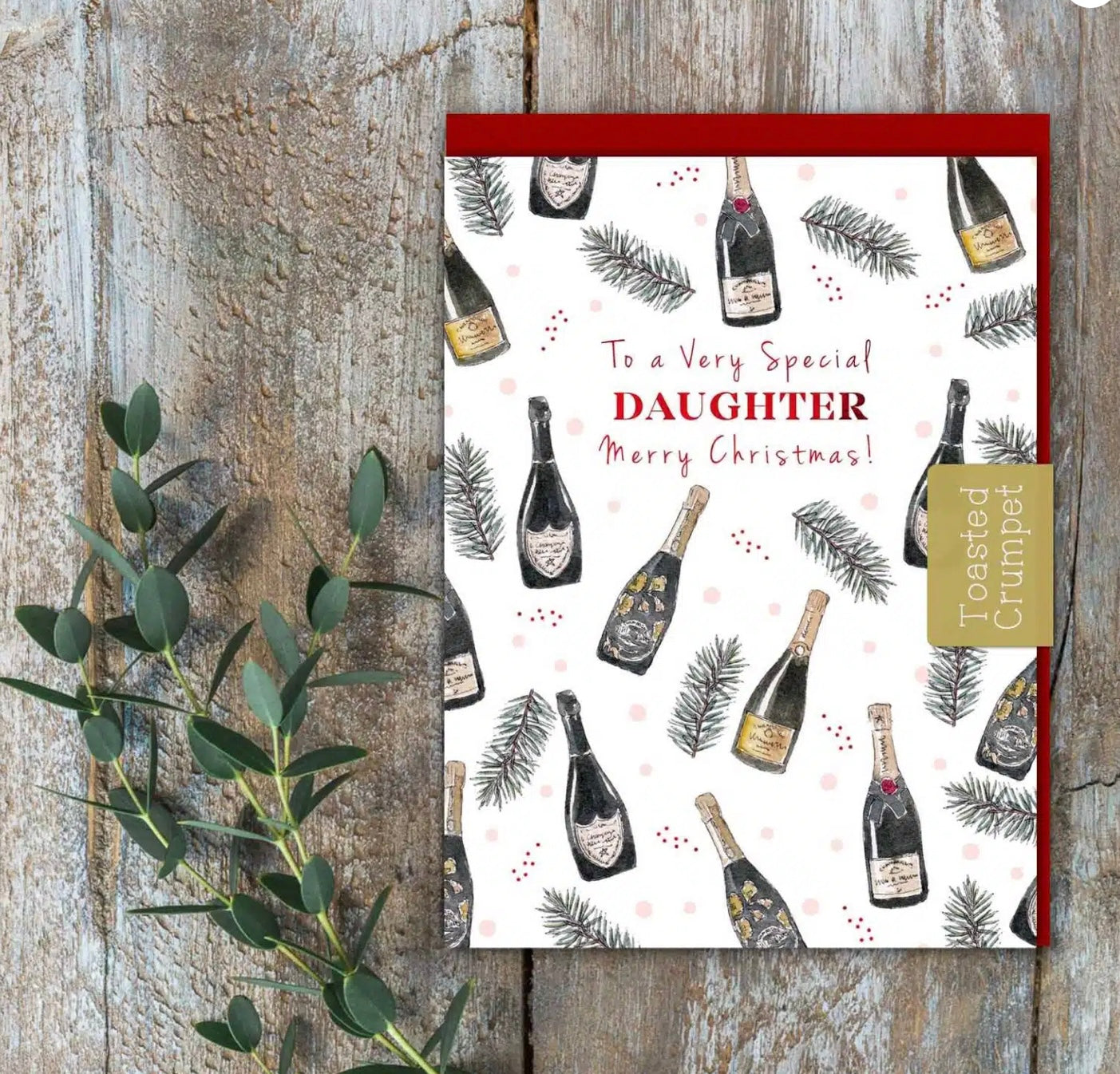 To a Very Special Daughter