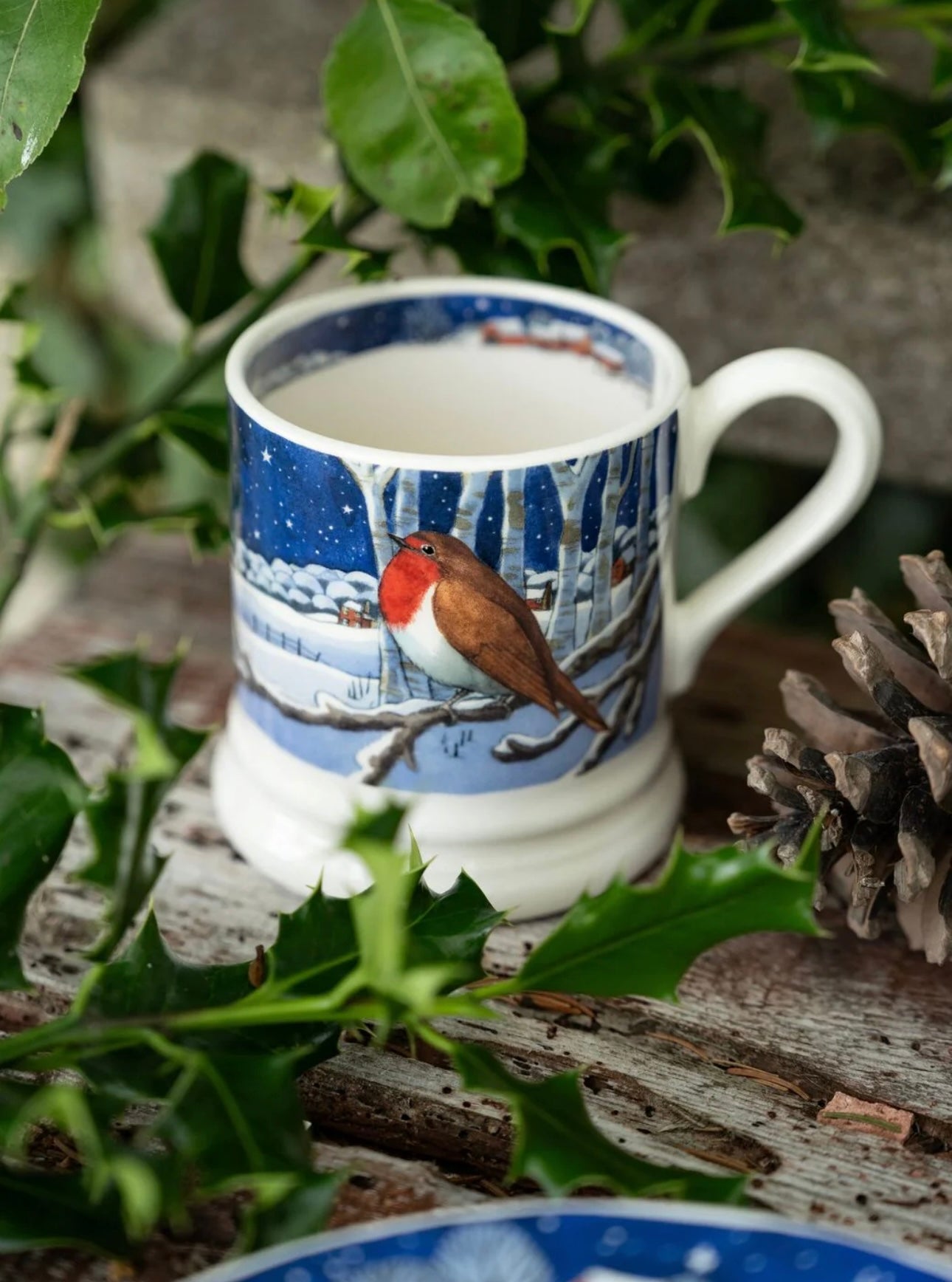 Emma Bridgewater Midnight Robin 1/2 Pint Mug