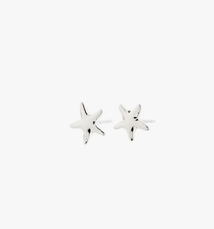 Andre Earrings - Silver Plated