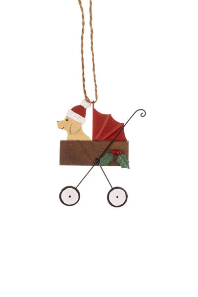 Dog in Stroller