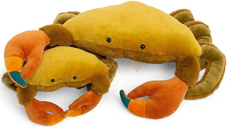 Small Crab Tout Autour Du Monde