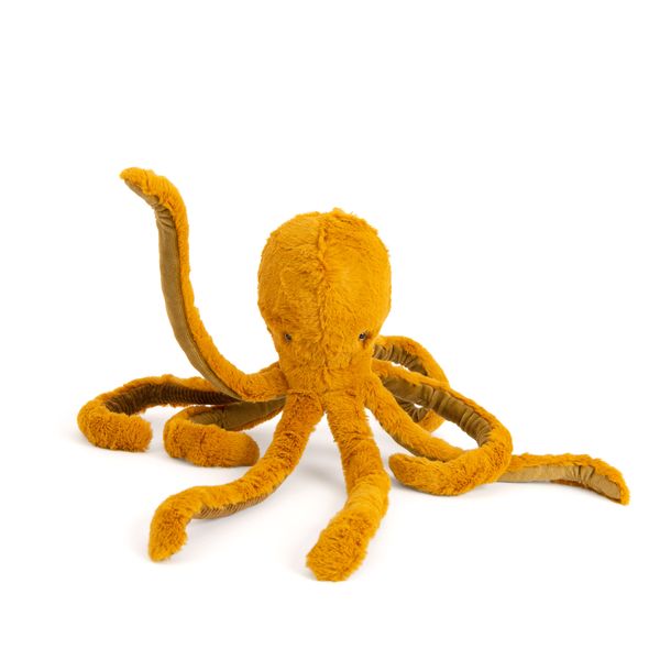 Small Octopus Tout Autour Du Monde