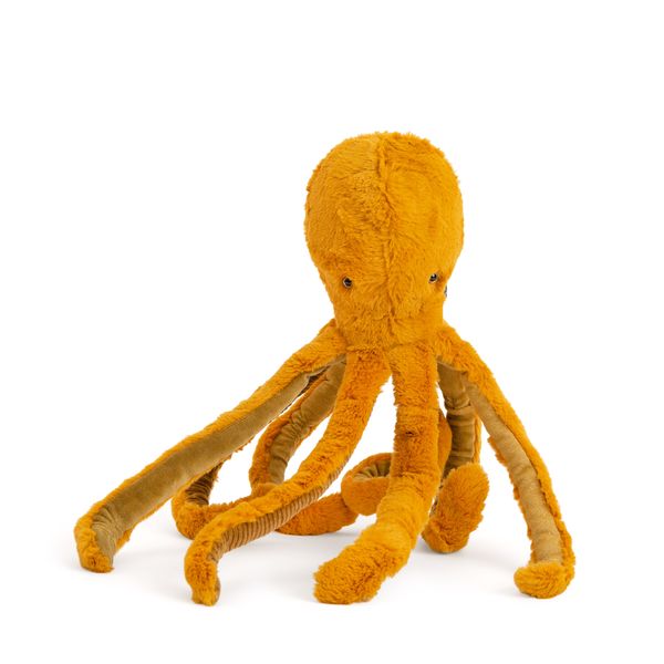 Small Octopus Tout Autour Du Monde