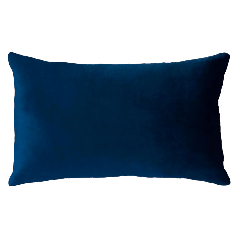 Needlepoint Cushion - Netflix & Chill