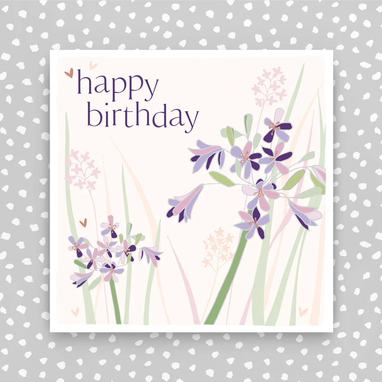 Happy Birthday - Agapanthus