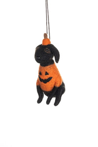 Dog in Pumpkin Costume