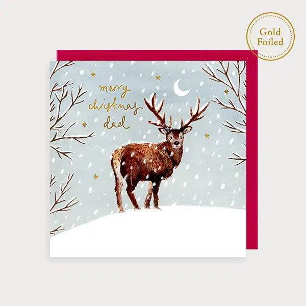 Merry Christmas Dad Christmas Card