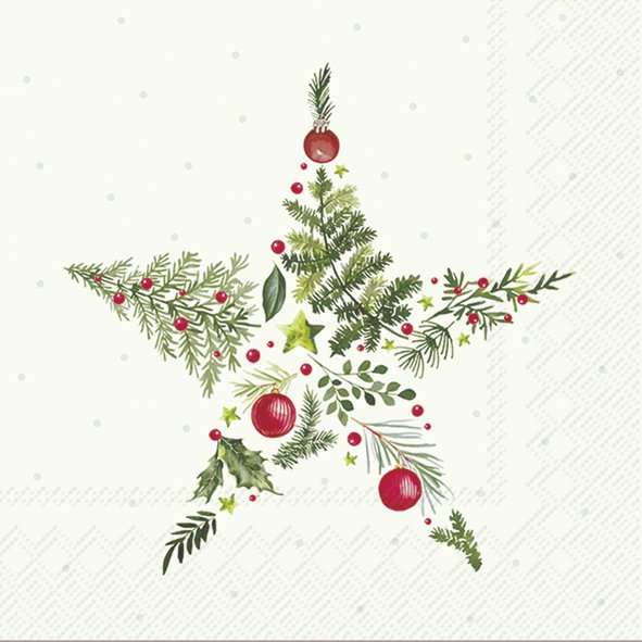 Lunch Napkins - Christmas Branches Star