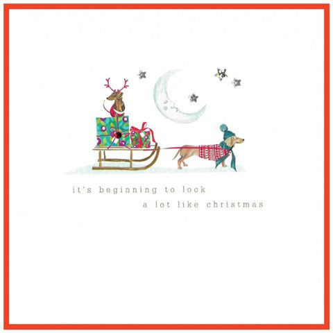 Primrose Hill Christmas Card - Sausage Dogs