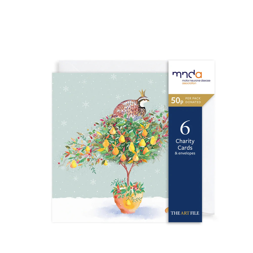 Charity Christmas Card Pack - Partridge & Pear Tree