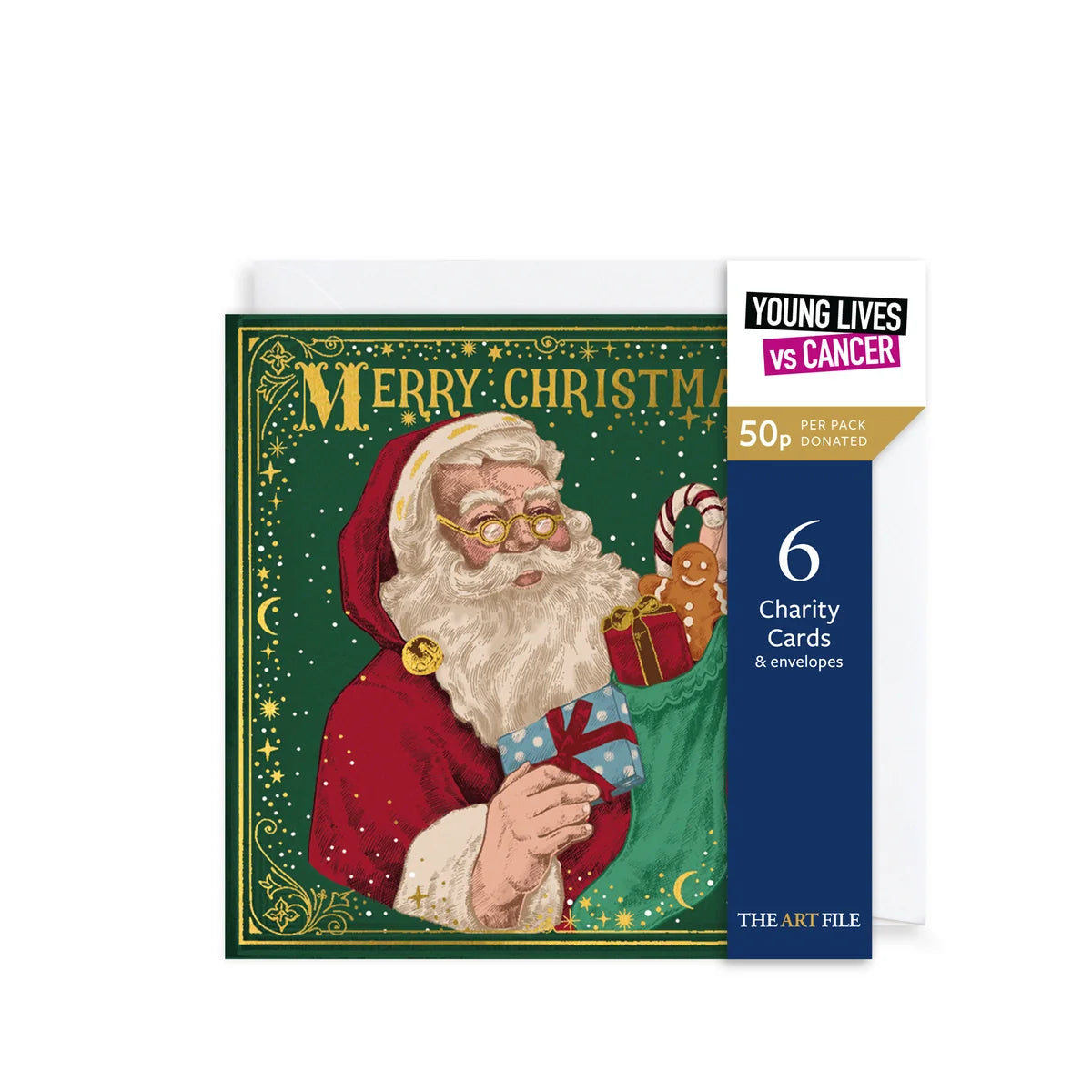 Charity Christmas Card Pack - Storybook Santa